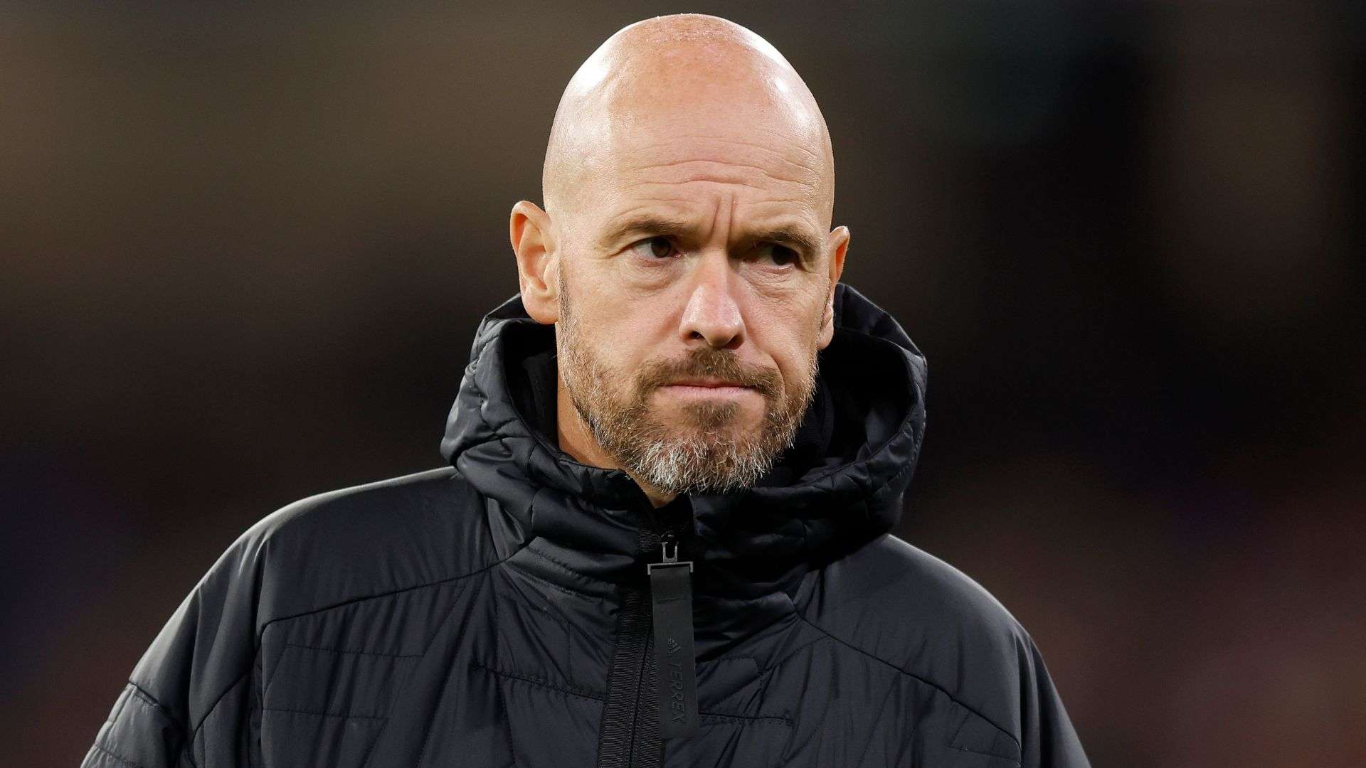 这一观点引 这一观点引