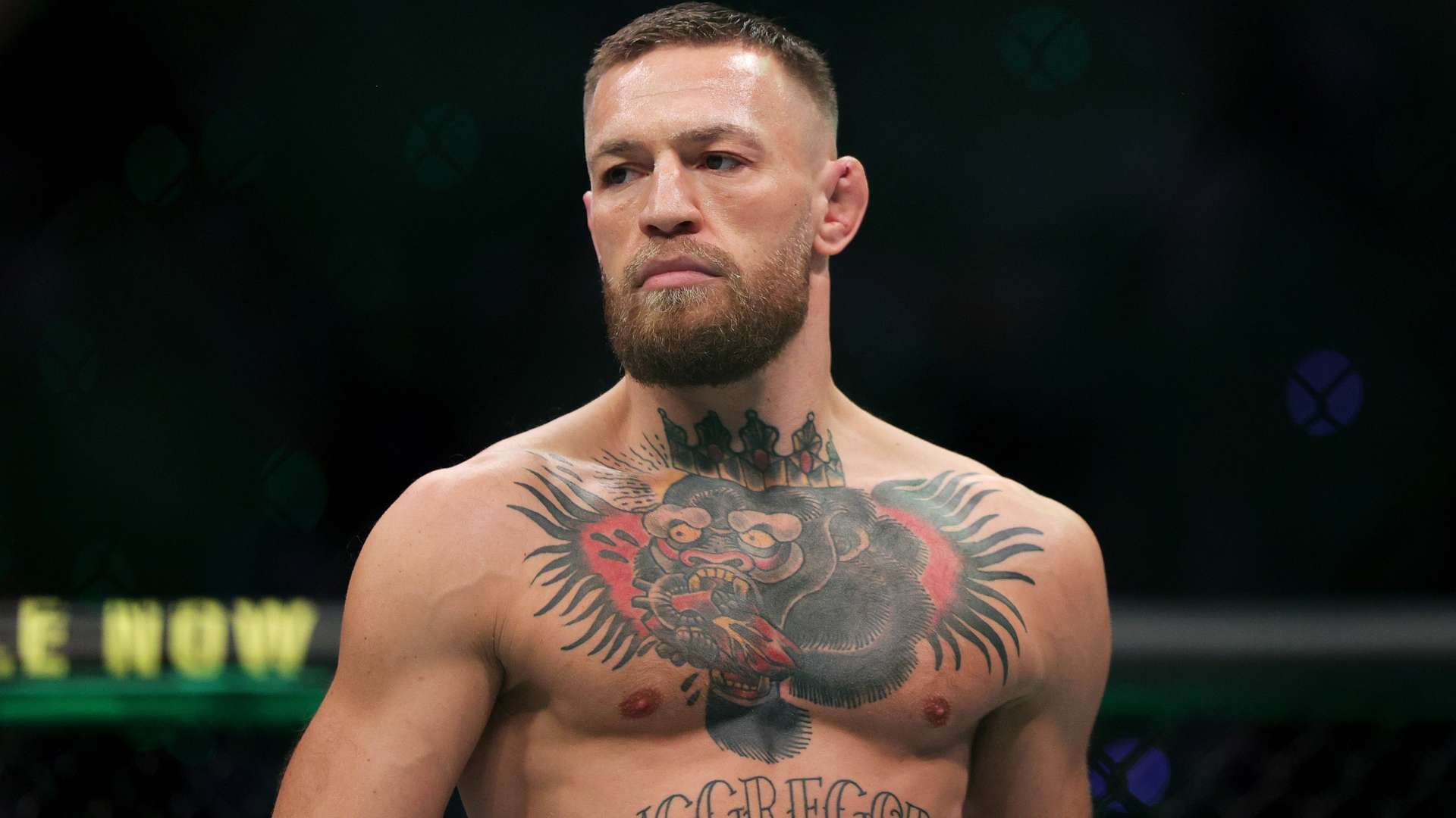 绿垂直条纹 绿垂直条纹